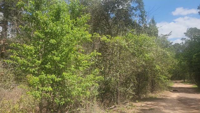 Lot 8 Yupon Lane, Plantersville, TX 77363