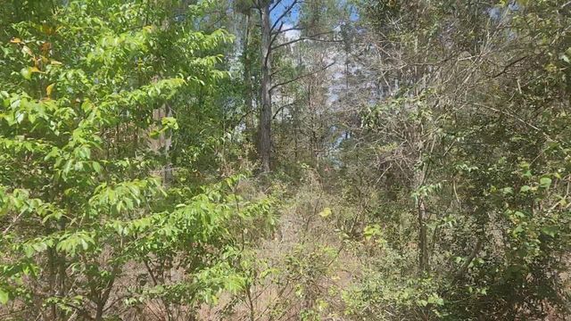Lot 8 Yupon Lane, Plantersville, TX 77363