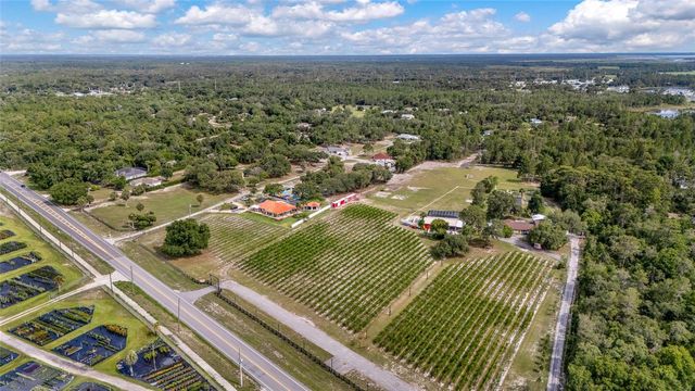 3078 BLUE BONNET LANE, Osteen, FL 32764