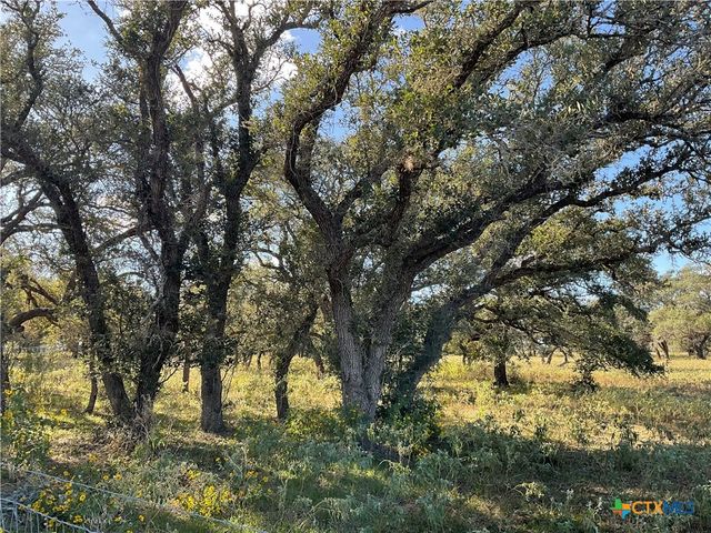 389 Hausmann Road, Cuero, TX 77954