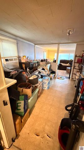 211 Lane St, Dexter, KY 42036