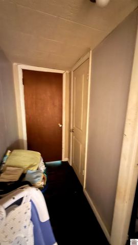 211 Lane St, Dexter, KY 42036