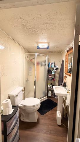 211 Lane St, Dexter, KY 42036