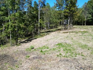 2T Gunter Hollow Road, Pulaski, TN 38478