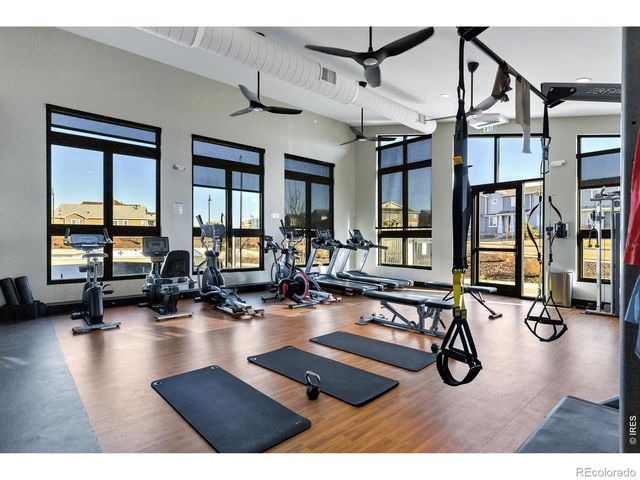 723 Alpine Ridge Street, Erie, CO 80516