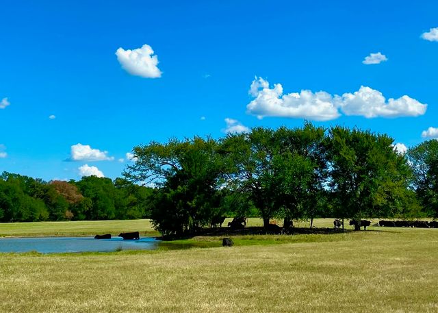 1476 CR 2130, Telephone, TX 75488