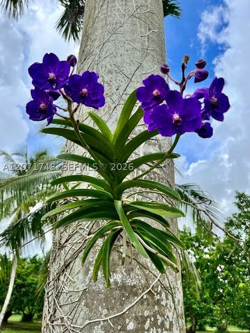 19345 SW 240th St, Homestead, FL 33031