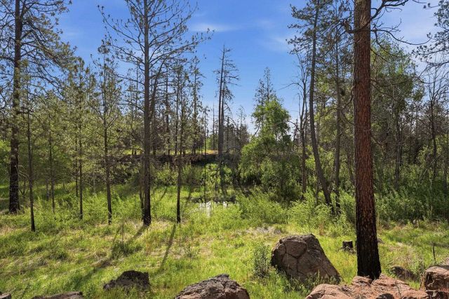 19303 W Penners Ln, Cheney, WA 99004