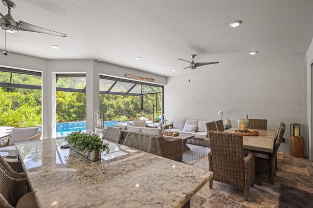 29719 CASSINO COURT, Wesley Chapel, FL 33543