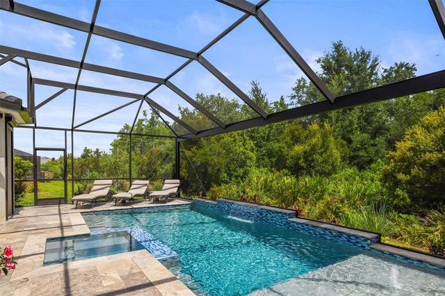 29719 CASSINO COURT, Wesley Chapel, FL 33543