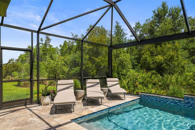 29719 CASSINO COURT, Wesley Chapel, FL 33543