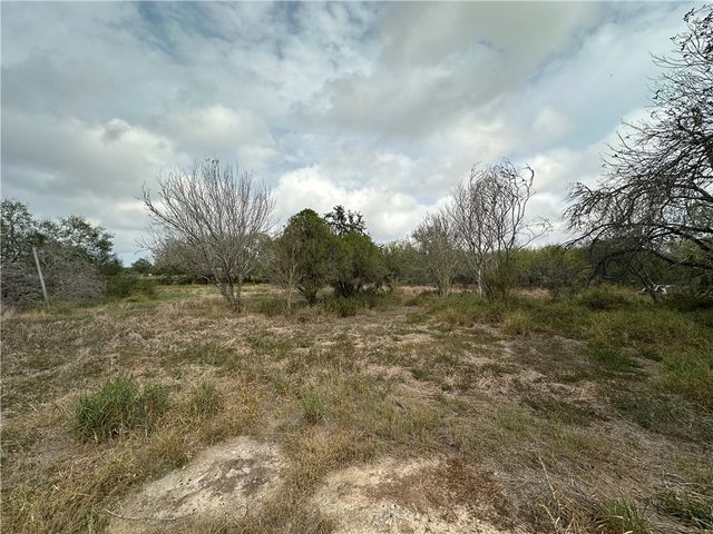 244 N. CR 1032, Kingsville, TX 78363