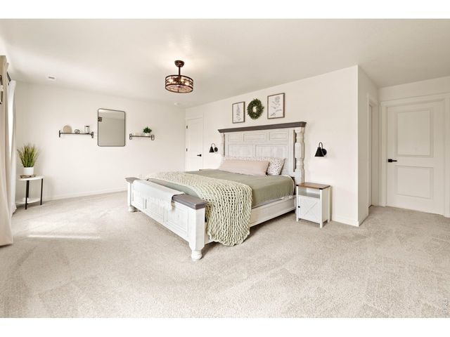 6427 Coralbell St, Wellington, CO 80549