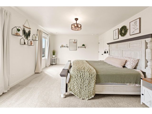 6427 Coralbell St, Wellington, CO 80549