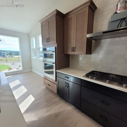 12541 Cavit Court, Colorado Springs, CO 80921