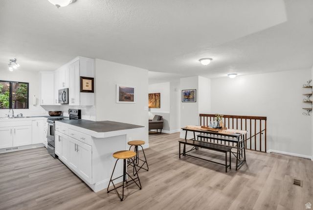1539 E 450 S, Springville, UT 84663