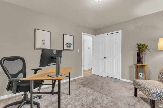 1539 E 450 S, Springville, UT 84663