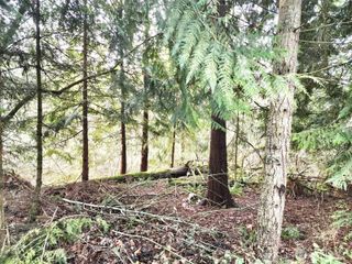 17931 West Lane SE, Yelm, WA 98597