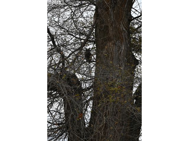 75938 SPRING HOLLOW Rd, Adams, OR 97810