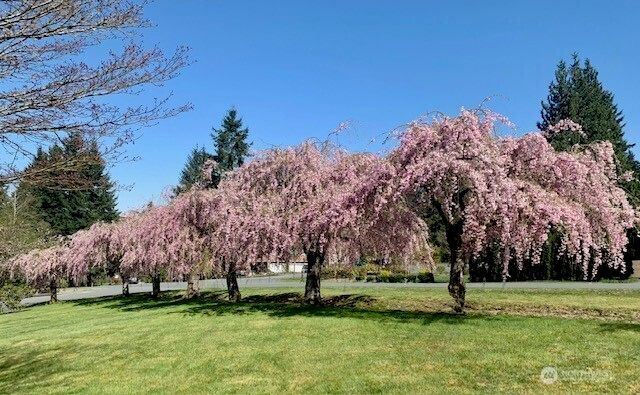 17465 NE 163rd Place, Woodinville, WA 98072