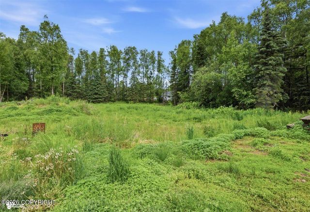 10045 W Faulkner Street, Wasilla, AK 99623