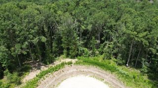 149 Hollow Hill Drive, New Waverly, TX 77358