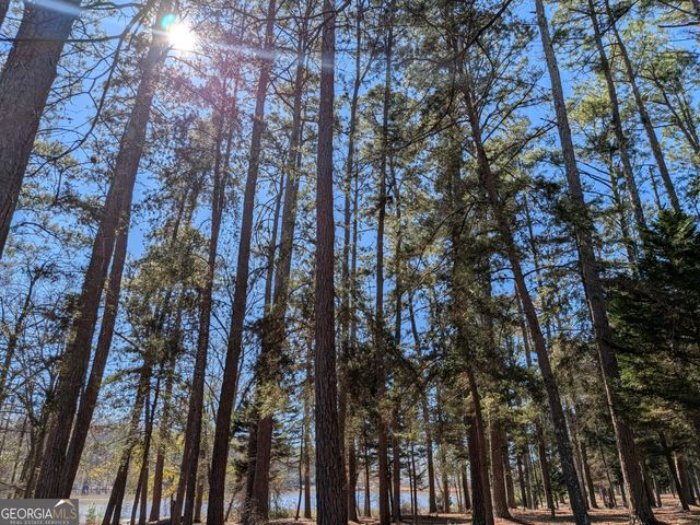148 Chaucer Lane LOT 73, Carrollton, GA 30117