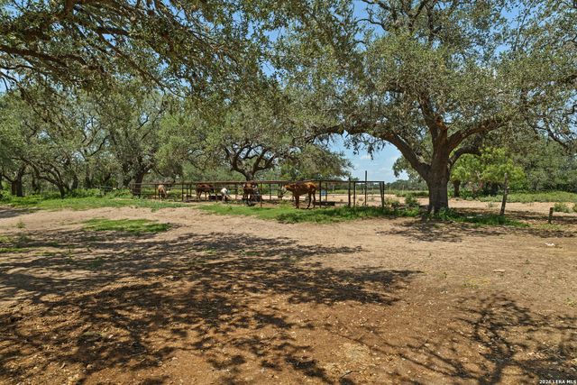 490 Hernandez, Poteet, TX 78065