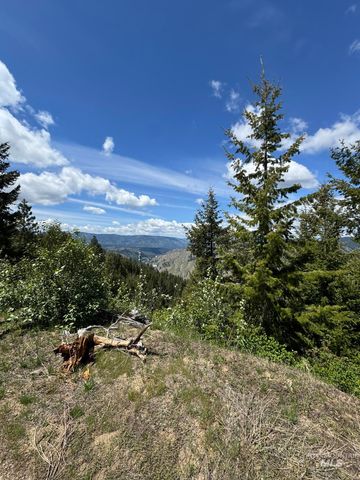 11 Golden Age Mine Rd, Idaho City, ID 83631