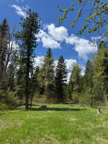11 Golden Age Mine Rd, Idaho City, ID 83631