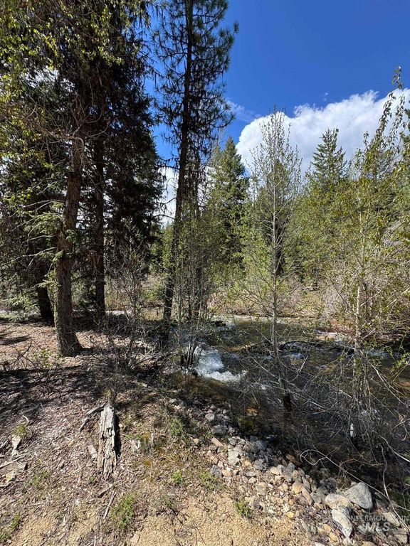 11 Golden Age Mine Rd, Idaho City, ID 83631 photo 6