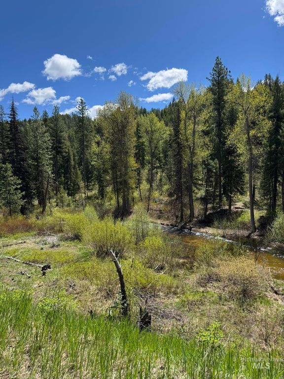 11 Golden Age Mine Rd, Idaho City, ID 83631 photo 9