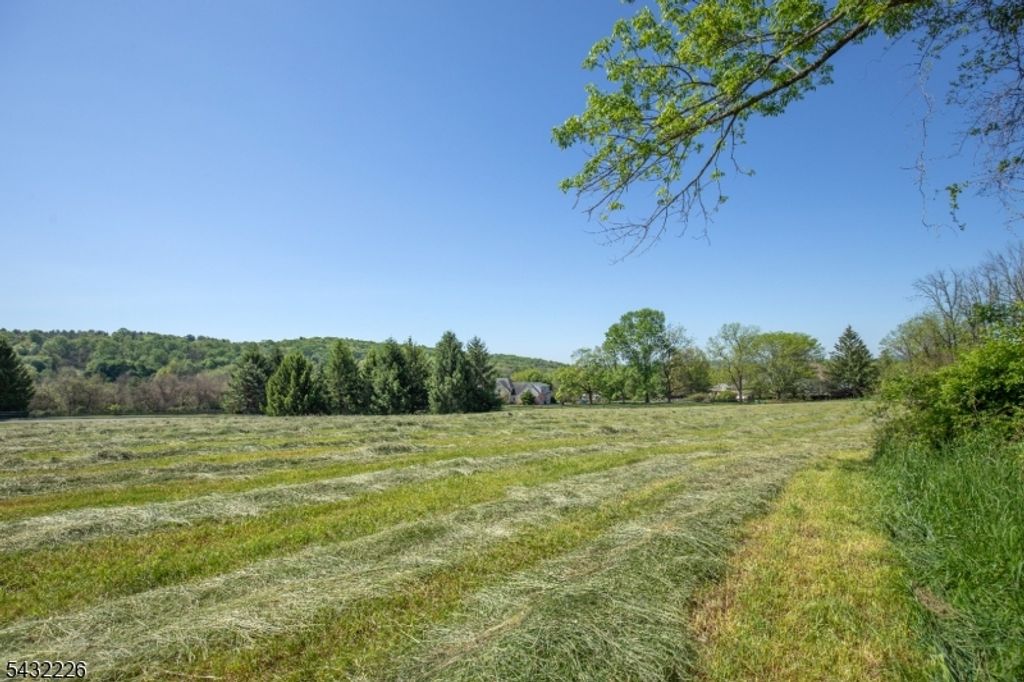 0 Winston Farm Ln, Mendham Twp., NJ 07931 — photo 3