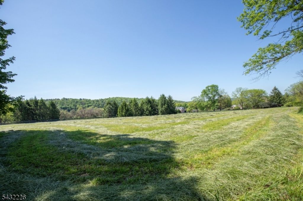 0 Winston Farm Ln, Mendham Twp., NJ 07931 — photo 4