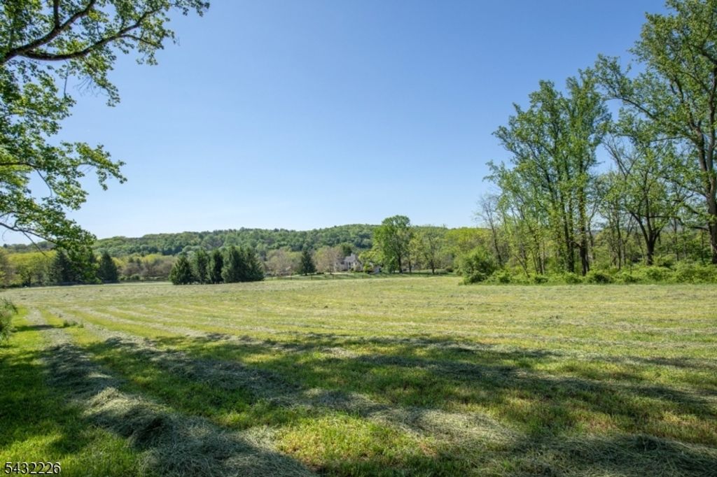 0 Winston Farm Ln, Mendham Twp., NJ 07931 — photo 5