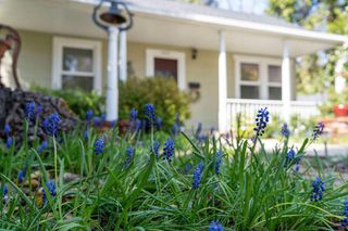 212 Pleasant St, Grass Valley, CA 95945