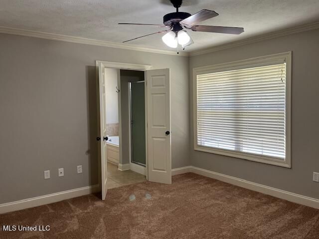 104 Blackstone Circle, Brandon, MS 39047