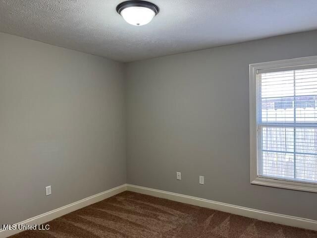 104 Blackstone Circle, Brandon, MS 39047