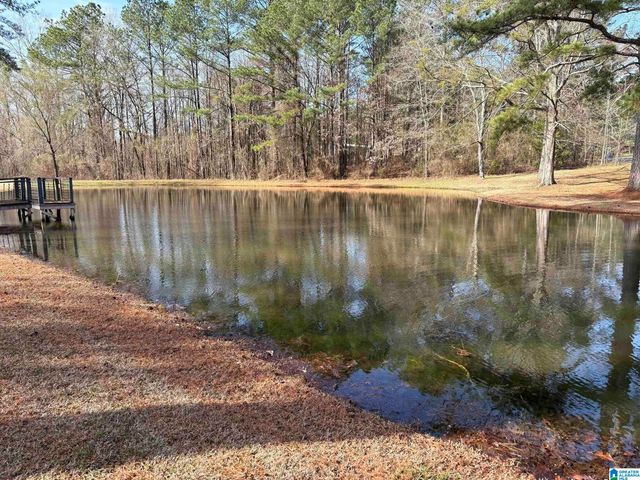 174 MOUNTAIN ROAD, Ohatchee, AL 36271