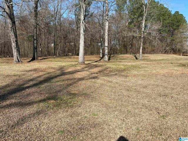 174 MOUNTAIN ROAD, Ohatchee, AL 36271