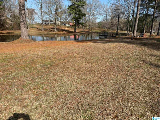 174 MOUNTAIN ROAD, Ohatchee, AL 36271
