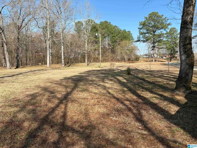 174 MOUNTAIN ROAD, Ohatchee, AL 36271