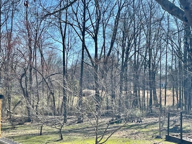 170 CASEY DR, Rossville, TN 38066