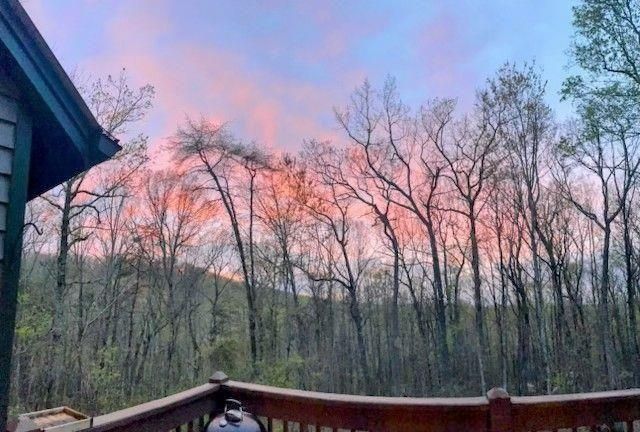 168 Green Cabin Way, Talking Rock, GA 30175