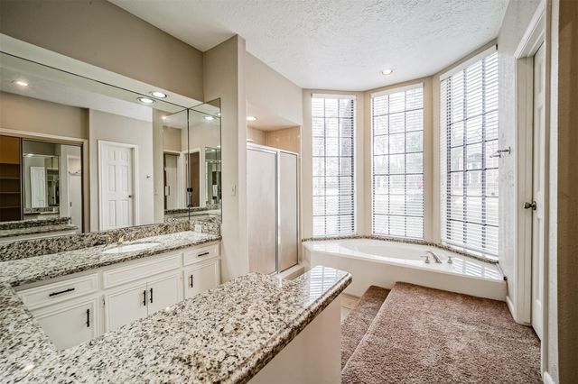 67 N Skyflower Court, Spring, TX 77381