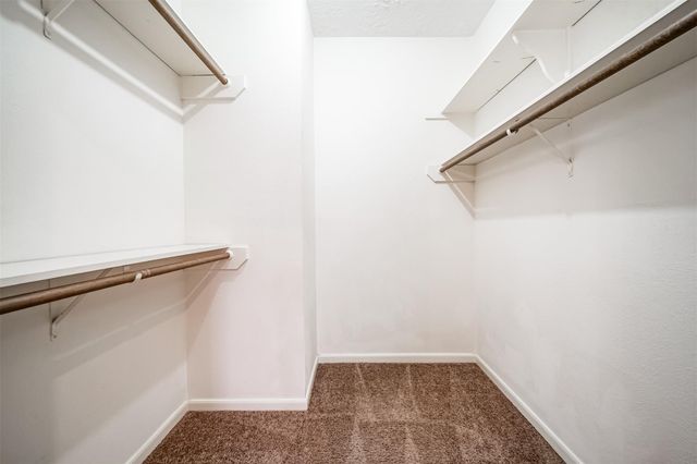 67 N Skyflower Court, Spring, TX 77381