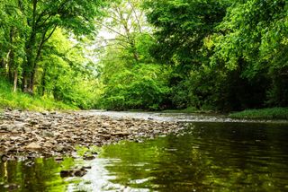 5285 Old Harding Road, Franklin, TN 37064