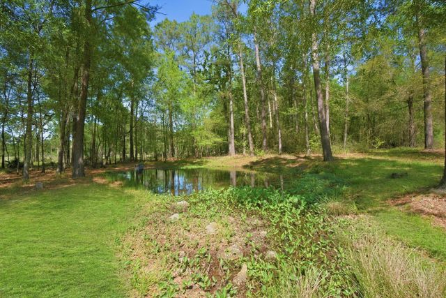 3102 Wilderness Way, Montgomery, TX 77316