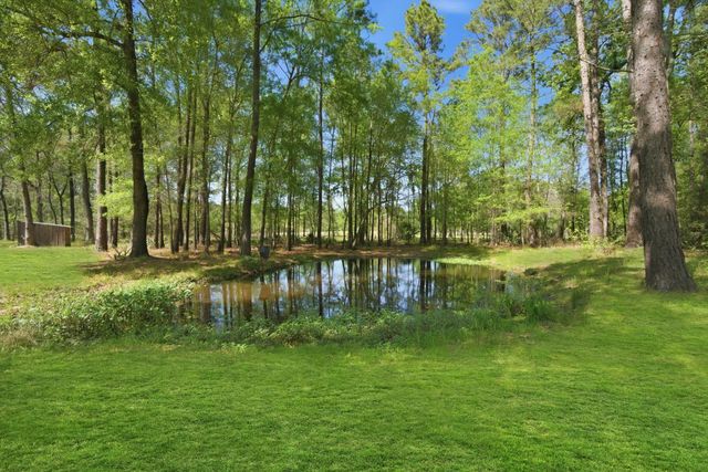 3102 Wilderness Way, Montgomery, TX 77316