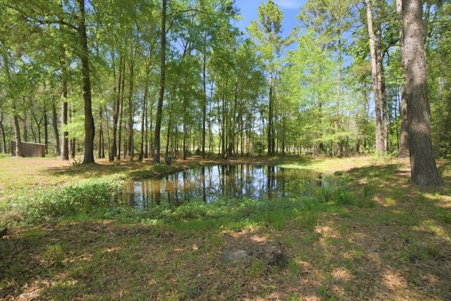 3102 Wilderness Way, Montgomery, TX 77316